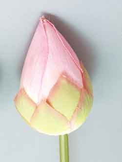 枯れない造花 枯れない蓮 つぼみ蓮 ピンク色